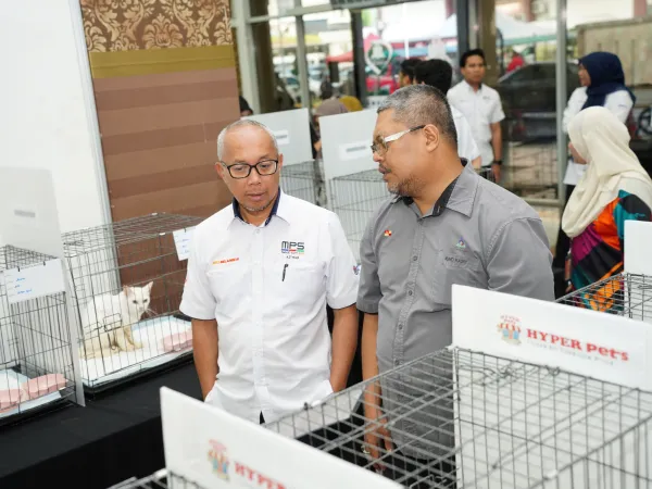 PROGRAM KUCING ANGKAT MPS 2025